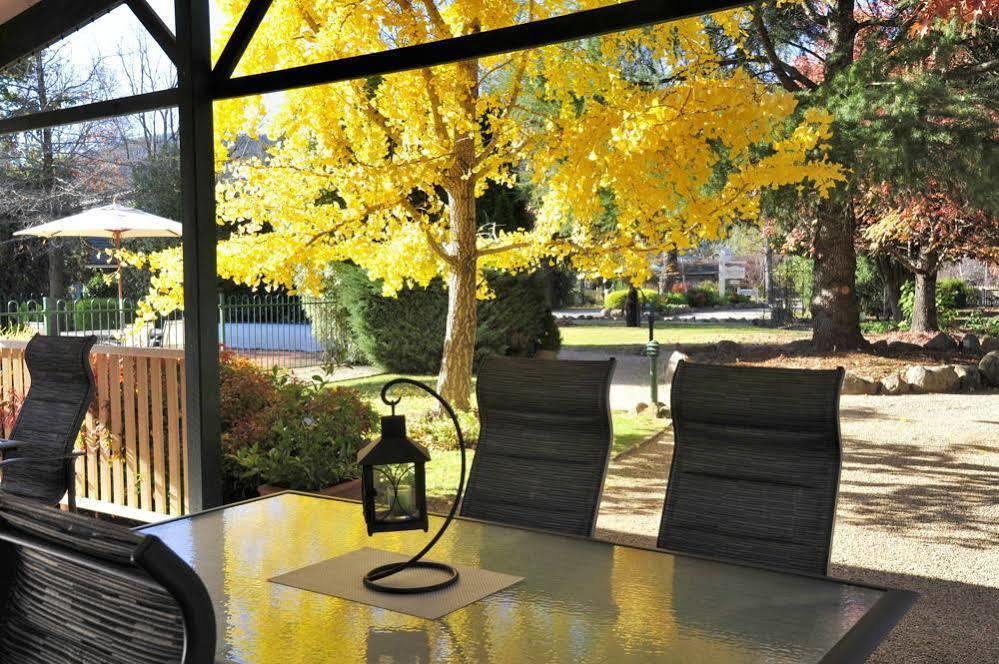 The Birch House - Silver Birches Accommodation Bright Luaran gambar