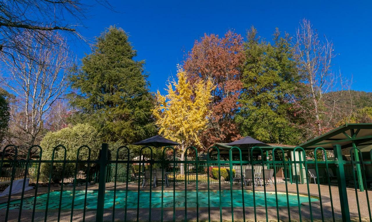 The Birch House - Silver Birches Accommodation Bright Luaran gambar